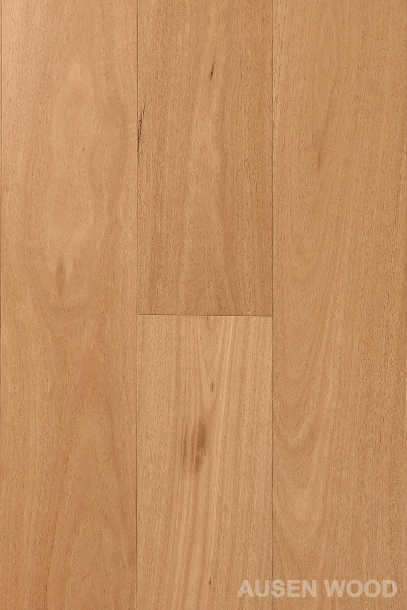 Blackbutt Ahşap Döşeme